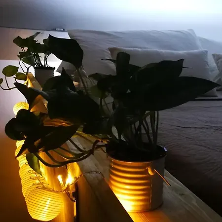 La Casetta Del Pangolino Bed & Breakfast Sassari